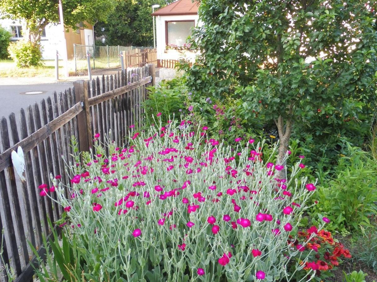 Apartment With Terrace And Pool In The Garden Pracht Exterior photo